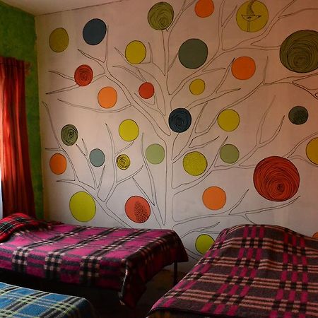 Chill Hostel Mexico City Bilik gambar